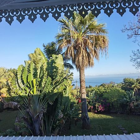 Le Jacaranda Du Guillaume Bed & Breakfast Le Guillaume Eksteriør bilde