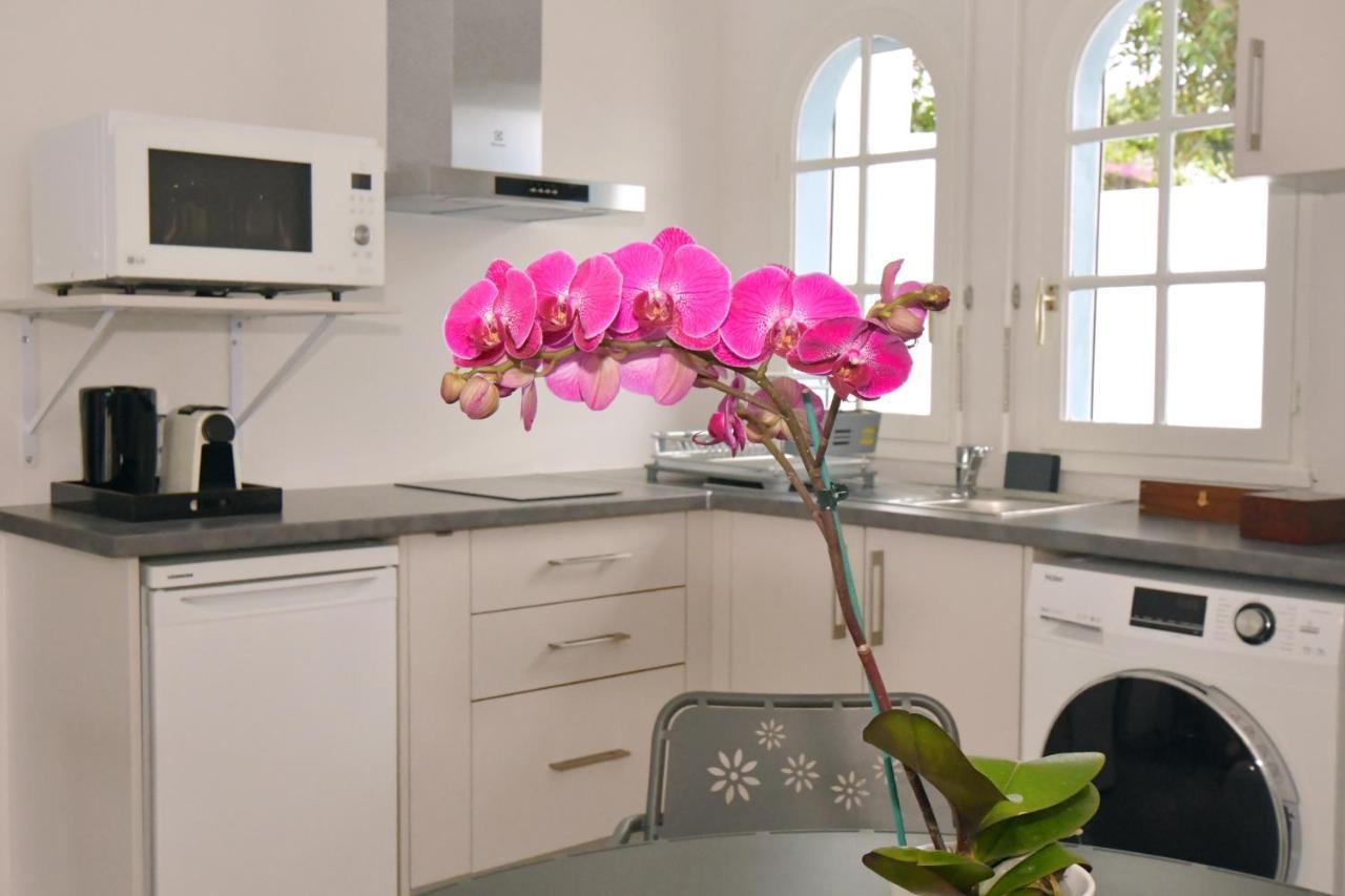 Le Jacaranda Du Guillaume Bed & Breakfast Le Guillaume Eksteriør bilde