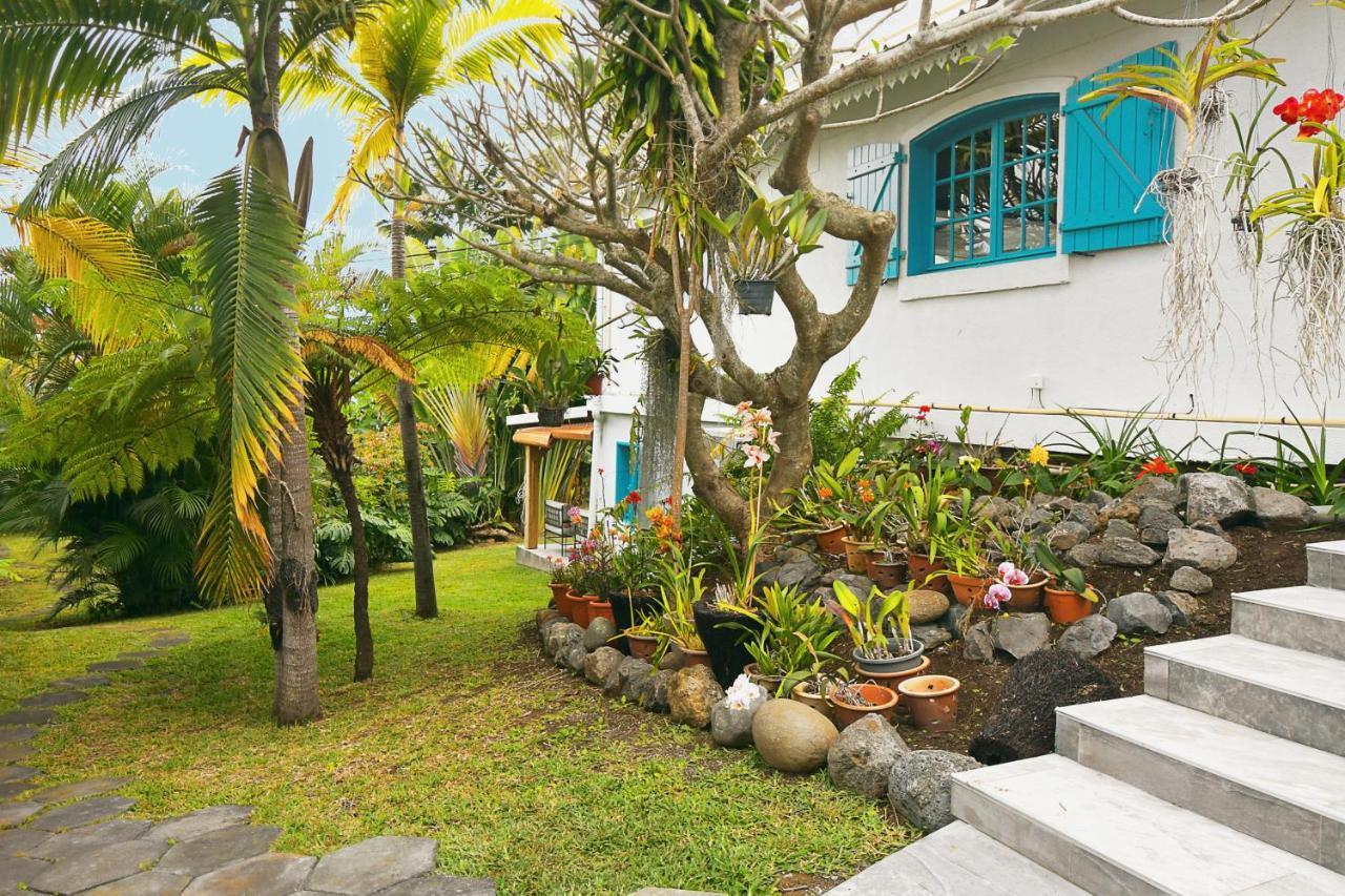 Le Jacaranda Du Guillaume Bed & Breakfast Le Guillaume Eksteriør bilde